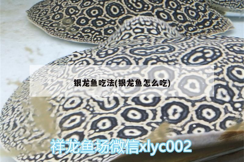 銀龍魚吃法(銀龍魚怎么吃) 銀龍魚吃法(銀龍魚怎么吃) 銀龍魚百科 第3張