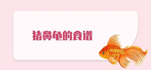豬鼻龜食譜：光喜暗光,解析豬鼻龜是一種)食性水生爬行動(dòng)物