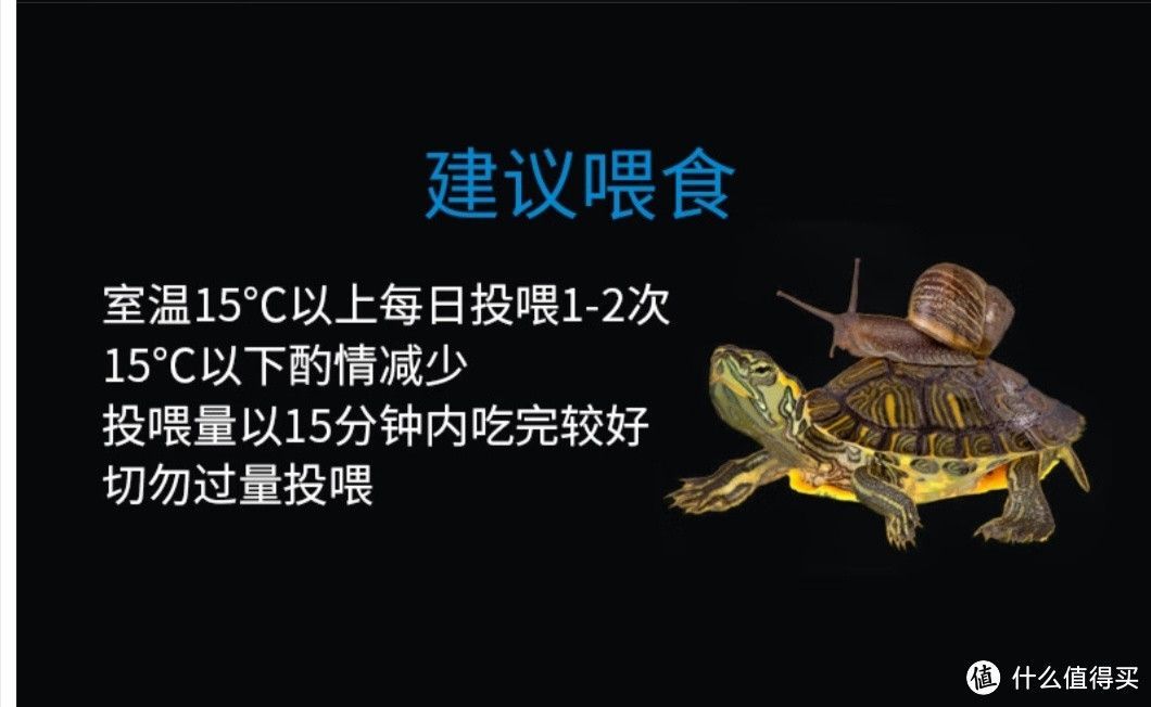 豬鼻龜可以食用嗎：-駕照網豬鼻龜怎么養才好-駕照網豬鼻龜怎么養才好