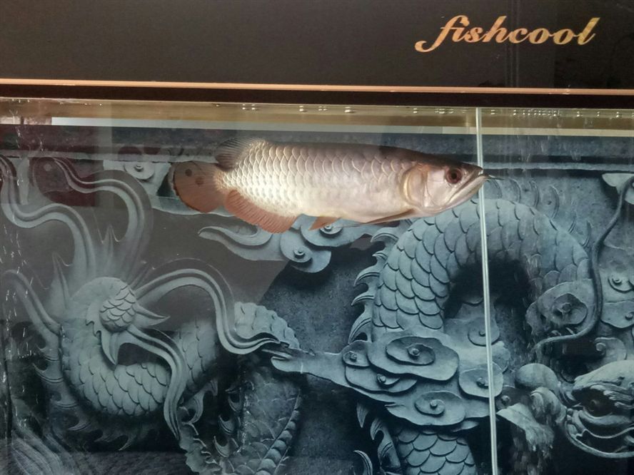 看看怎么樣