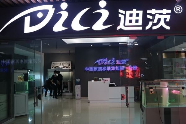 水族館加盟店怎么樣（水族館加盟品牌對比分析水族館加盟品牌對比分析）