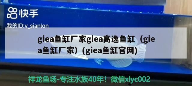 giea魚缸廠家giea高逸魚缸（giea魚缸廠家）(giea魚缸官網)
