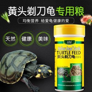 豬鼻龜長到多大喂下沉飼料好：豬鼻龜喂多少合適，