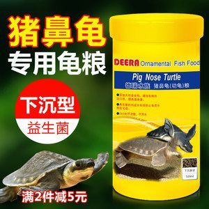 豬鼻龜長到多大喂下沉飼料好：豬鼻龜喂多少合適，