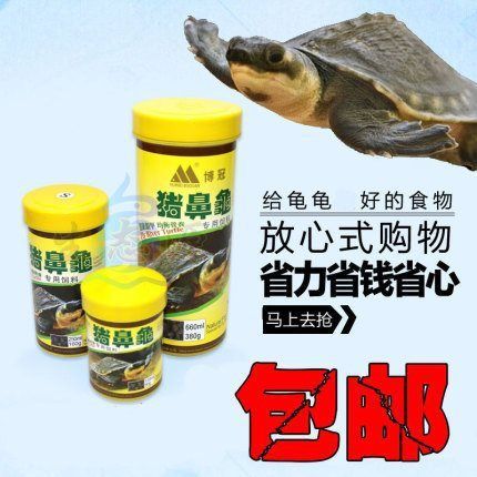豬鼻龜長到多大喂下沉飼料好：豬鼻龜喂多少合適，