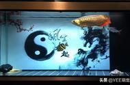 豬鼻龜好買嗎:豬鼻龜哪里能買
