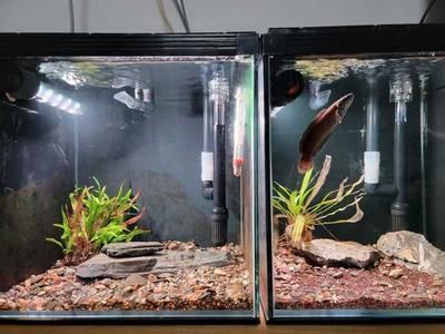好點的魚缸品牌推薦，森森sunsun魚缸用戶評價閩江水族minjiang產(chǎn)品種類