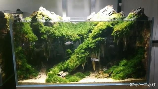 魚缸過濾系統的最佳配置，理想的魚缸過濾系統應包括以下幾個組成部分