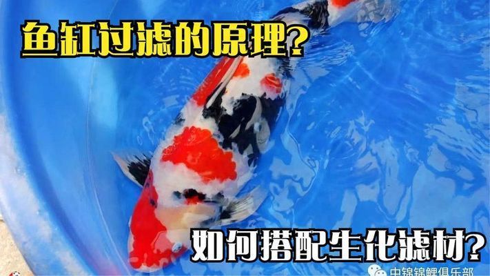 魚缸過濾系統的最佳配置，理想的魚缸過濾系統應包括以下幾個組成部分