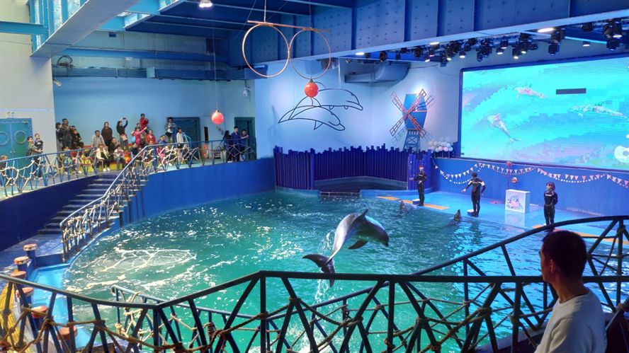 水族館有些什么（上海海洋水族館特色展覽介紹水族館互動(dòng)體驗(yàn)有哪些）