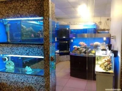 水族館魚缸圖片大全 家里（家庭自制魚缸圖片大全）