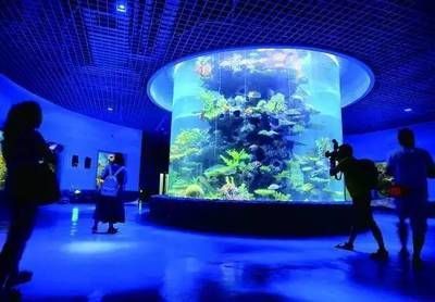 水族館魚缸圖片大全 家里（家庭自制魚缸圖片大全）