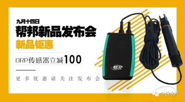 戈壁魚缸造景效果圖片 戈壁石圖片及價格