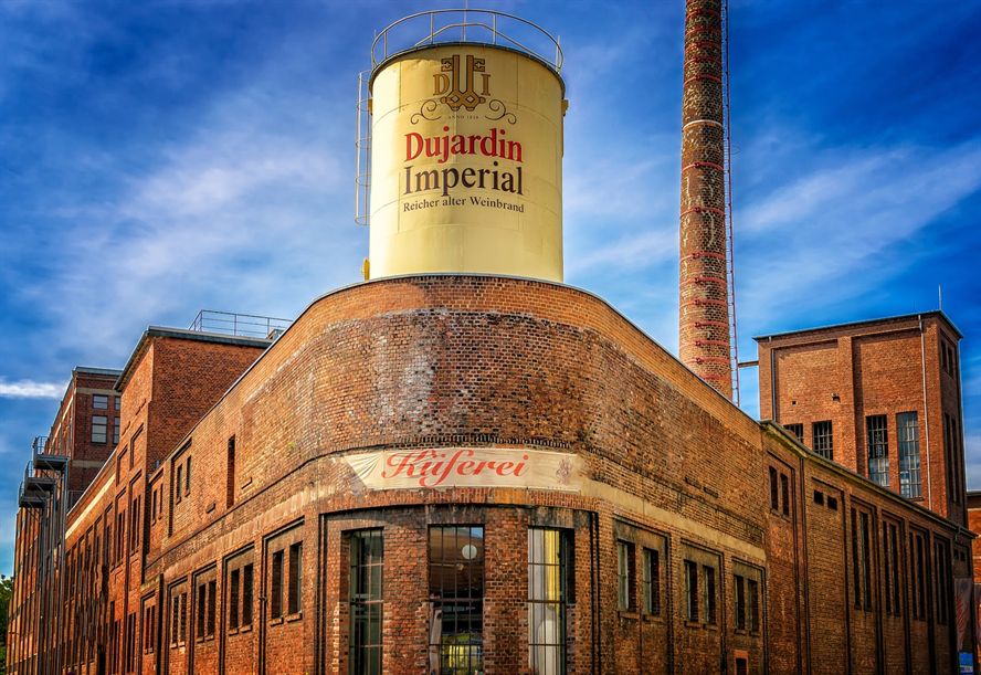 銀龍魚爛尾爛鰭怎么辦圖片大全(銀龍魚爛嘴爛尾怎么辦)