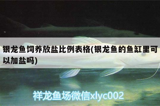 銀龍魚飼養(yǎng)放鹽比例表格(銀龍魚的魚缸里可以加鹽嗎)