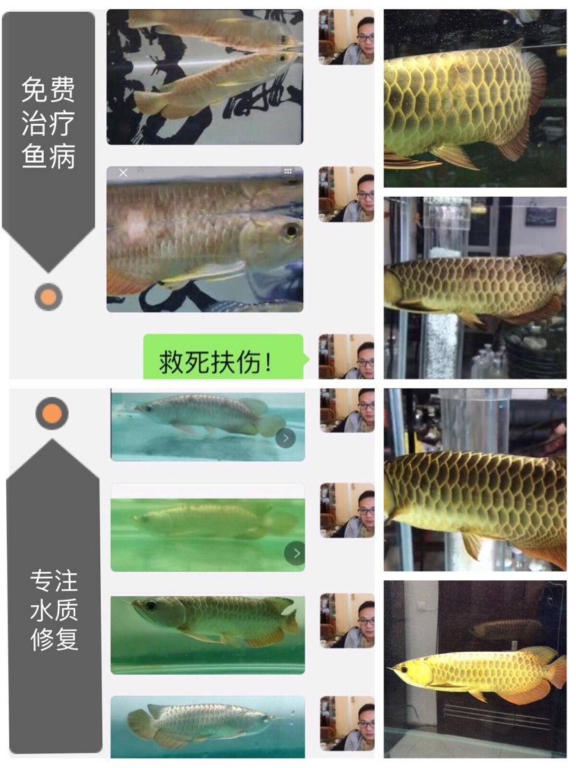 東莞水族館我不賣藥不賣魚就是大家溝通交流治魚救魚