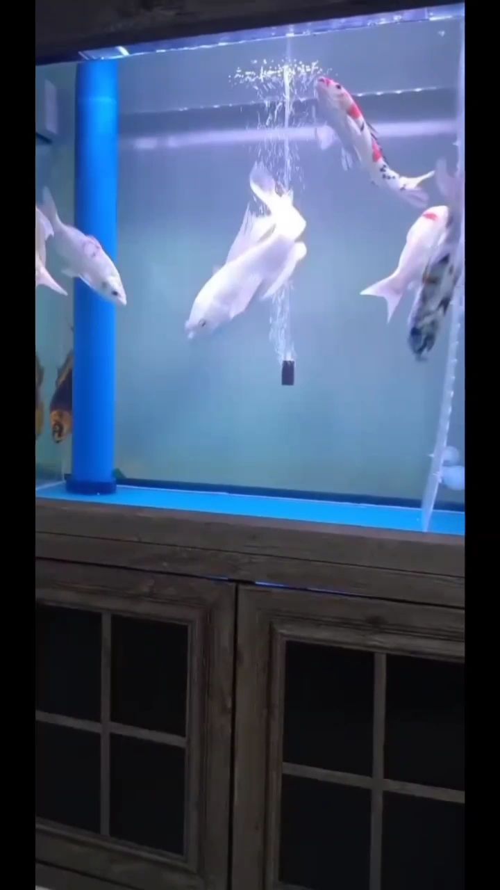 怎么才能弄漂亮點