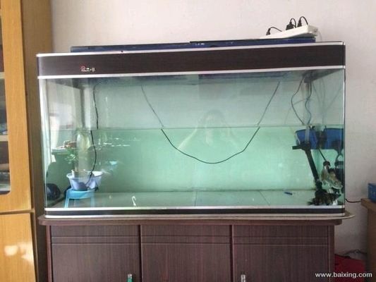 四紋虎魚飼養(yǎng)環(huán)境優(yōu)化方法,四紋虎魚的飼養(yǎng)環(huán)境優(yōu)化方法 虎魚百科 第4張 四紋虎魚飼養(yǎng)環(huán)境優(yōu)化方法,四紋虎魚的飼養(yǎng)環(huán)境優(yōu)化方法 四紋虎魚飼養(yǎng)環(huán)境優(yōu)化方法,四紋虎魚的飼養(yǎng)環(huán)境優(yōu)化方法 虎魚百科 第4張