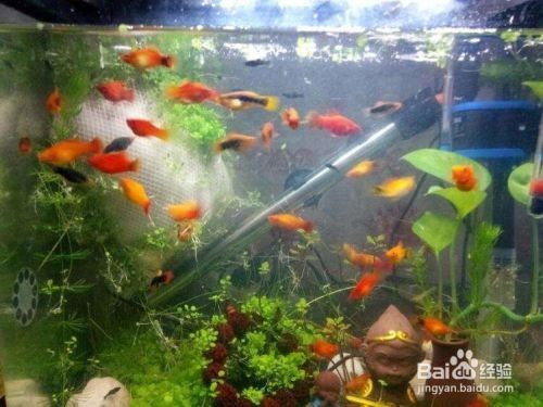 最近有什么好電視推薦一下：聚焦最近，生活萬象與時代新篇