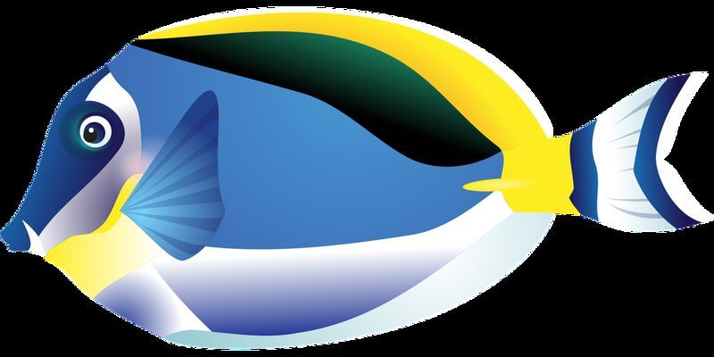 水族館擺放位置（水族館擺放風水講究，客廳西南方擺魚缸效果） 水族館擺放位置（水族館擺放風水講究，客廳西南方擺魚缸效果） 水族館百科（水族館加盟） 第4張