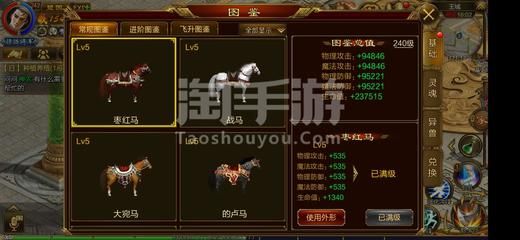 大湖紅龍魚特點(diǎn)介紹視頻(什么是大湖魚紅龍)