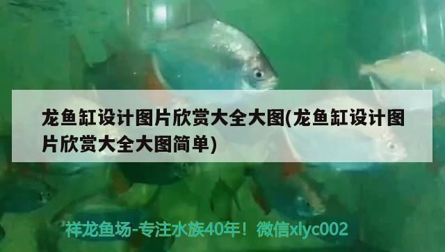 蘇虎苗養(yǎng)殖過濾系統(tǒng)選擇，蘇虎苗養(yǎng)殖水質(zhì)管理技巧