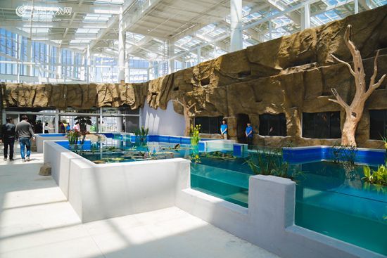 水族館店鋪照片真實（關于水族館店鋪照片真實詳情）