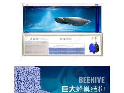祥龍水族濾材適用場景案例（祥龍水族濾材在家庭水族箱中的應用）