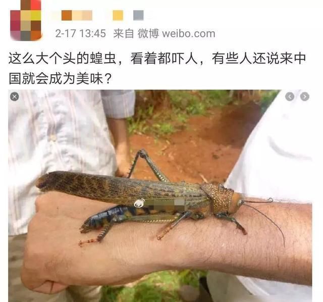 冷水觀賞魚飼養(yǎng)方法，冷水觀賞魚的飼養(yǎng) 冷水觀賞魚飼養(yǎng)方法，冷水觀賞魚的飼養(yǎng) 觀賞魚百科 第2張