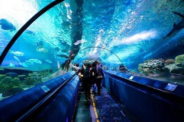 水族館在哪里看動漫（《白沙的水族館》水族館觀看動漫詳情）