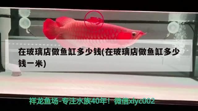 在玻璃店做魚缸多少錢(在玻璃店做魚缸多少錢一米) 錦鯉魚百科 第3張 在玻璃店做魚缸多少錢(在玻璃店做魚缸多少錢一米) 在玻璃店做魚缸多少錢(在玻璃店做魚缸多少錢一米) 錦鯉魚百科 第3張