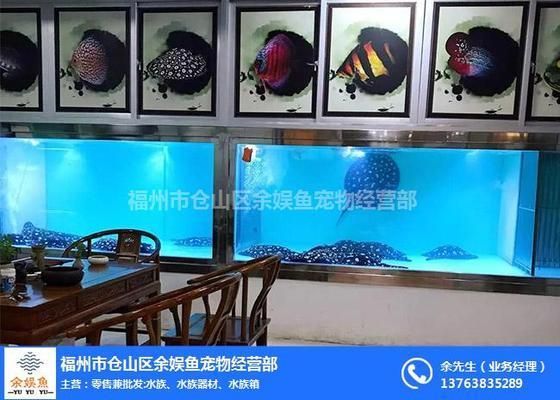 福州魚缸定做定制，福州魚缸定做和定制服務(wù)技巧福州魚缸維護保養(yǎng)技巧 福州魚缸定做定制，福州魚缸定做和定制服務(wù)技巧福州魚缸維護保養(yǎng)技巧 魚缸百科 第3張