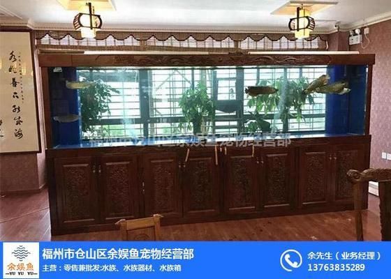 福州魚缸定做定制，福州魚缸定做和定制服務(wù)技巧福州魚缸維護保養(yǎng)技巧 福州魚缸定做定制，福州魚缸定做和定制服務(wù)技巧福州魚缸維護保養(yǎng)技巧 魚缸百科 第5張