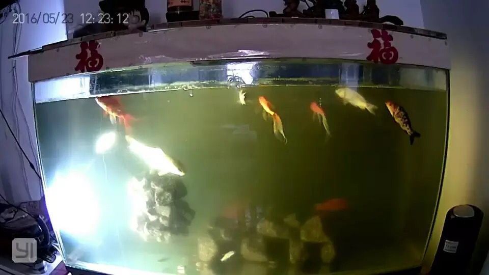 光照的