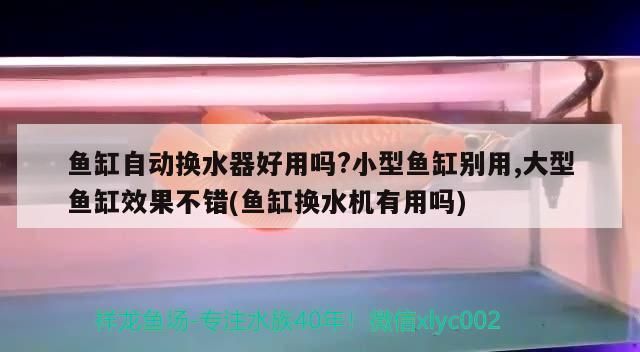 魚缸自動(dòng)換水器好用嗎?小型魚缸別用,大型魚缸效果不錯(cuò)(魚缸換水機(jī)有用嗎)