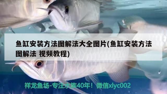 魚缸安裝方法圖解法大全圖片(魚缸安裝方法圖解法視頻教程)