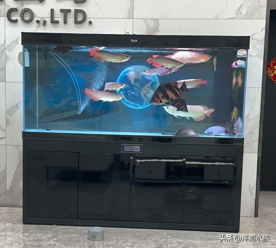 涼山彝族自治州龍魚養(yǎng)殖基地電話號碼查詢【涼山彝族自治州龍魚養(yǎng)殖基地的電話號碼是多少？】
