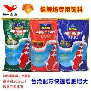 有沒有小型的龍魚品種圖片(龍魚有多少個品種圖片)