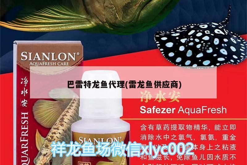 巴雷特龍魚代理(雷龍魚供應商)