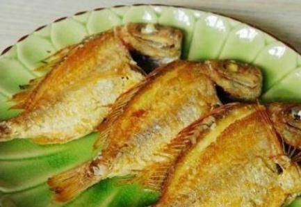 魟魚破皮了：[需手動填充]魚皮膚破皮怎么辦 魟魚破皮了：[需手動填充]魚皮膚破皮怎么辦 魟魚百科 第3張