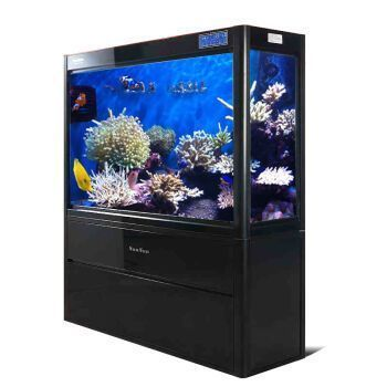 龍魚魚缸廠家，龍魚魚缸廠家及其相關信息介紹龍魚魚缸廠家及其相關信息