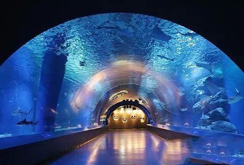 美麗海水族館官網首頁（沖繩美麗海水族館）