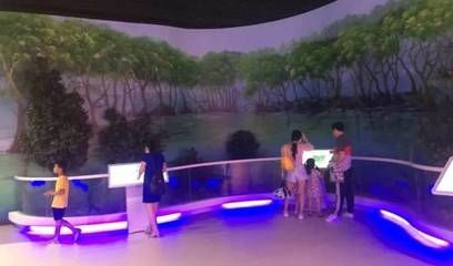 祥龍水族館VR體驗(yàn)特色介紹（祥龍水族館vr體驗(yàn)）