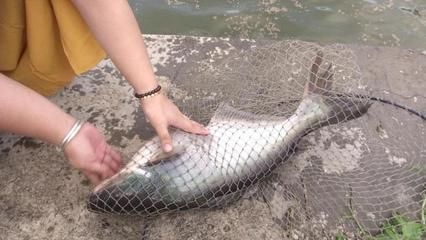 天王魚缸價格及圖片欣賞（天王水族魚缸怎么樣）