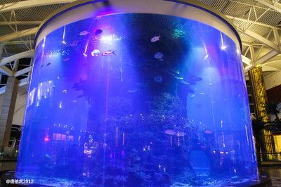 開(kāi)一個(gè)水族館需要什么手續(xù)（開(kāi)設(shè)一個(gè)水族館所需的手續(xù)）