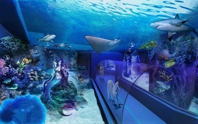 水族館一般多少錢(qián)一個(gè)月啊（開(kāi)一家水族館涉及多種費(fèi)用）