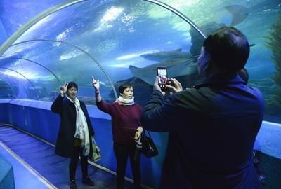 水族館前景發展趨勢（中國水族館行業發展研究分析與發展趨勢預測與發展趨勢）