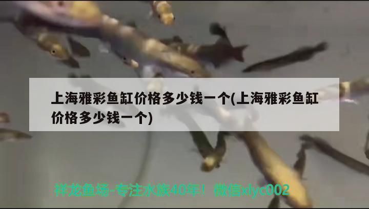 魚缸配件有哪些名稱(魚缸配件有哪些名稱和圖片)