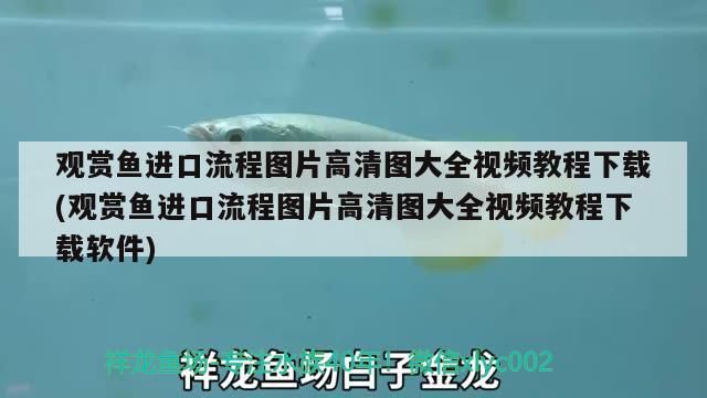 雷龍魚(yú)的主要生活地在哪里(雷龍魚(yú)原產(chǎn)地環(huán)境)