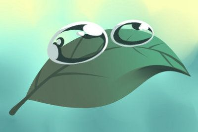 虎魚繁殖后市場趨勢預(yù)測，虎魚繁殖后的市場趨勢分析